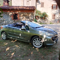 207 CC Roland Garros 2009