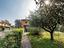 Immagine 14