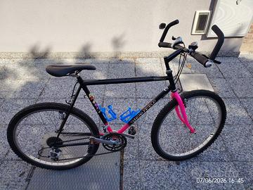 Mountain bike