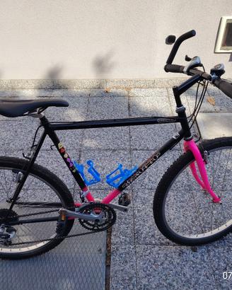 Mountain bike