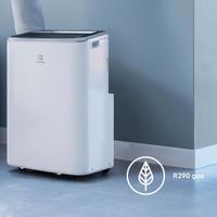 Climatizzatore Condizionatore Electrolux Portatile