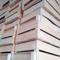 800 Cassette legno frutta/ortaggi