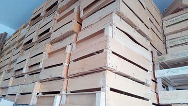 800 Cassette legno frutta/ortaggi