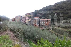Appartamento Riomaggiore [436VRG]