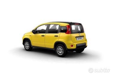 FIAT Panda N. 1.0 70cv Hybrid