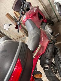 Aprilia Pegaso vendita