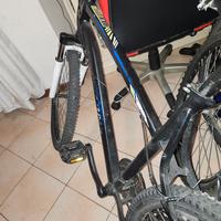 Bicicletta Rockryder 