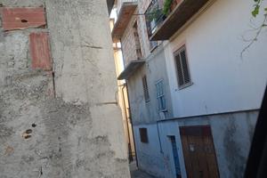 piano rustico a foresta di petilia policastro