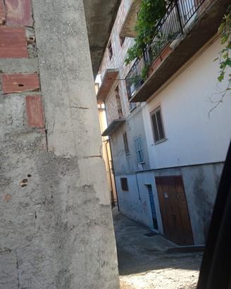 piano rustico a foresta di petilia policastro