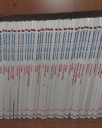libri esplorando il corpo umano