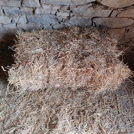 Fieno primo taglio in balle piccole