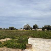 TER. AGRICOLO A POLIGNANO A MARE