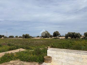 TER. AGRICOLO A POLIGNANO A MARE