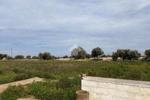 TER. AGRICOLO A POLIGNANO A MARE