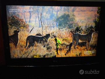 TV LG 37 pollici