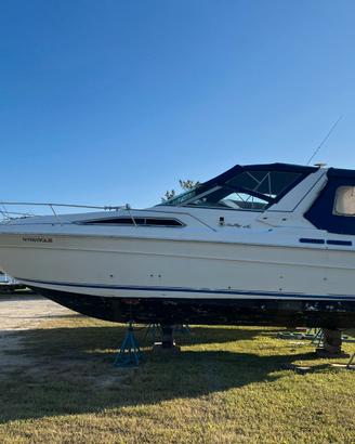 SEA RAY 300 – MERCRUISER – € 19.900