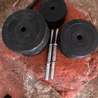 Dischi in plastica dura