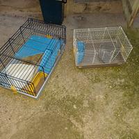 gabbia per conigli 