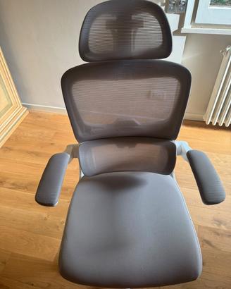 Sedia da Ufficio Ergonomica