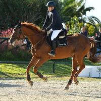 Cavalla tedesca 2009