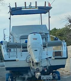 Motore Jhonson 115 cv