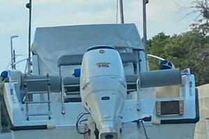 Motore Jhonson 115 cv