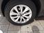 Immagine 14