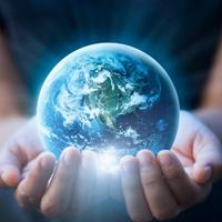 Impiegato-Project Management