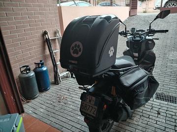 Trasportino per cani fino a 10 kg per moto