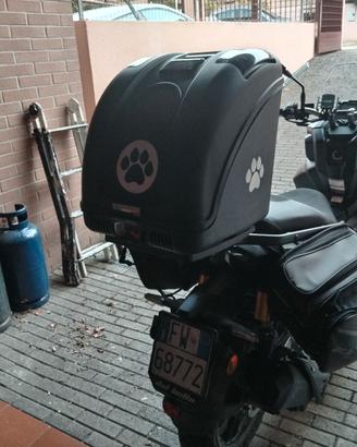 Trasportino per cani fino a 10 kg per moto