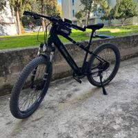 Mountain e-bike Performance Argento