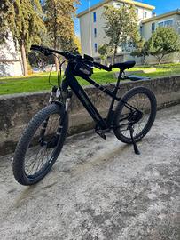 Mountain e-bike Performance Argento