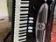 Immagine 5
