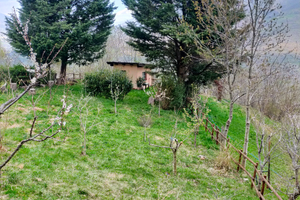 Terreno agricolo con alberi da frutta