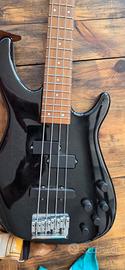 basso raro fender dimension 