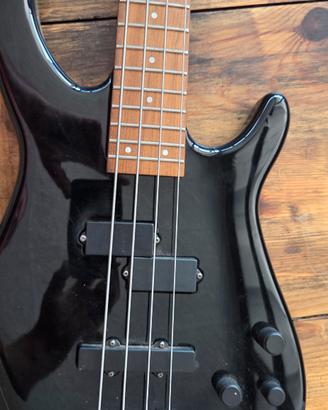 basso raro fender dimension 
