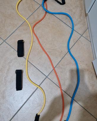 elastici fitness palestra