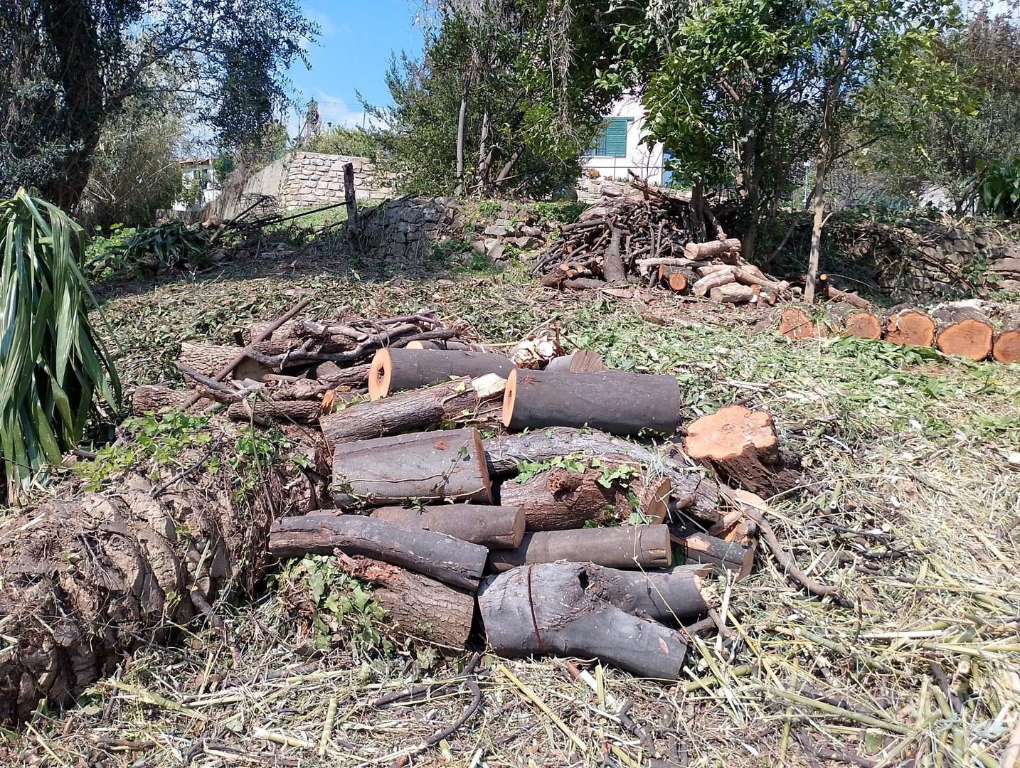 Terreno a Sanremo - Vista 4