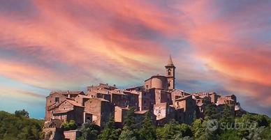 Terreni zona artigianale