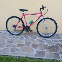 Mountain Bike "Snche Bianchi"