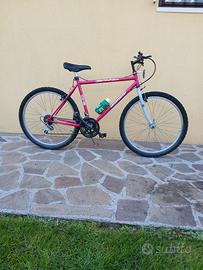 Mountain Bike "Snche Bianchi"