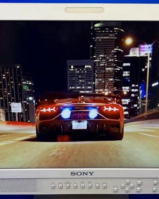Monitor Sony LCD LMD2110 multi in HDMI FullHD