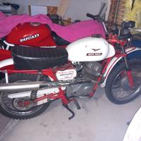 Moto guzzi scrambler