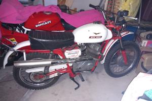 Moto guzzi scrambler