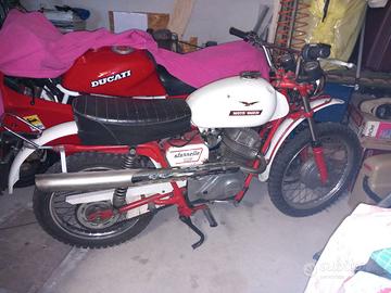Moto guzzi scrambler
