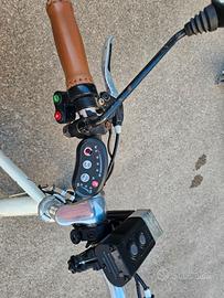 Bicicletta elettrica
