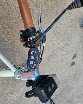 Bicicletta elettrica