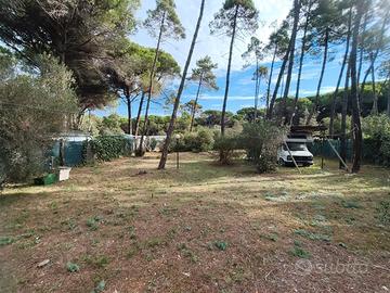 terreno in pineta Marina di Grosseto 