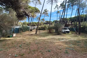 terreno in pineta Marina di Grosseto 