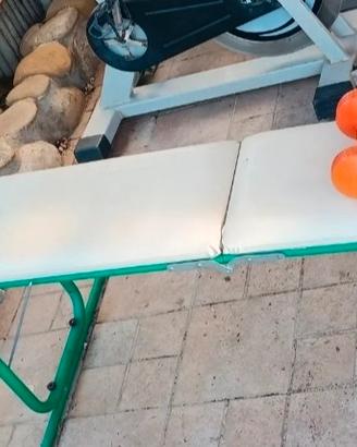 pancha palestra 